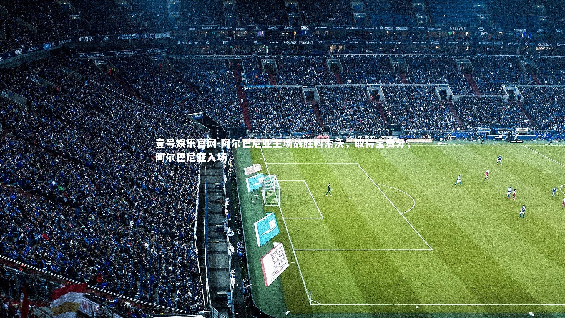 壹号娱乐官网-阿尔巴尼亚主场战胜科索沃，取得宝贵分，阿尔巴尼亚入场