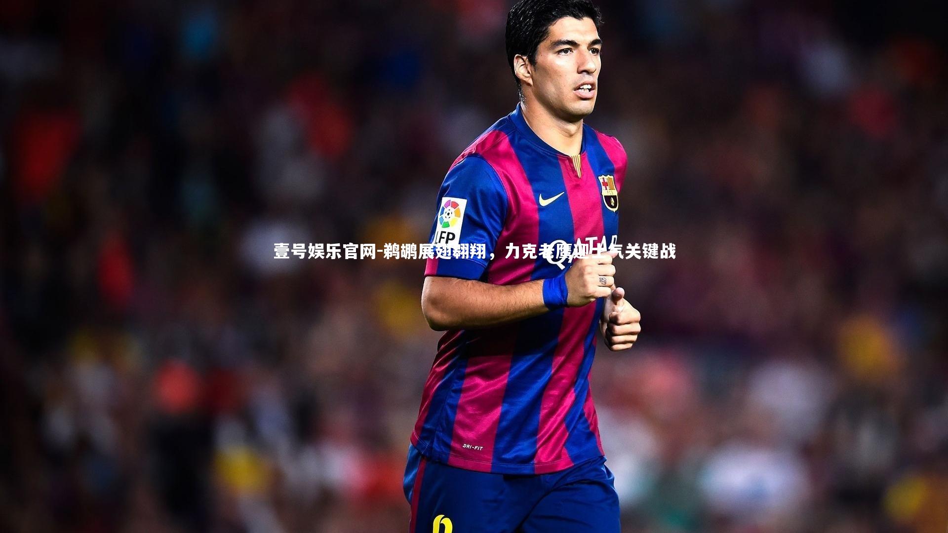 壹号娱乐官网-鹈鹕展翅翱翔，力克老鹰迎士气关键战